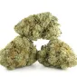 Bruce Banner strain