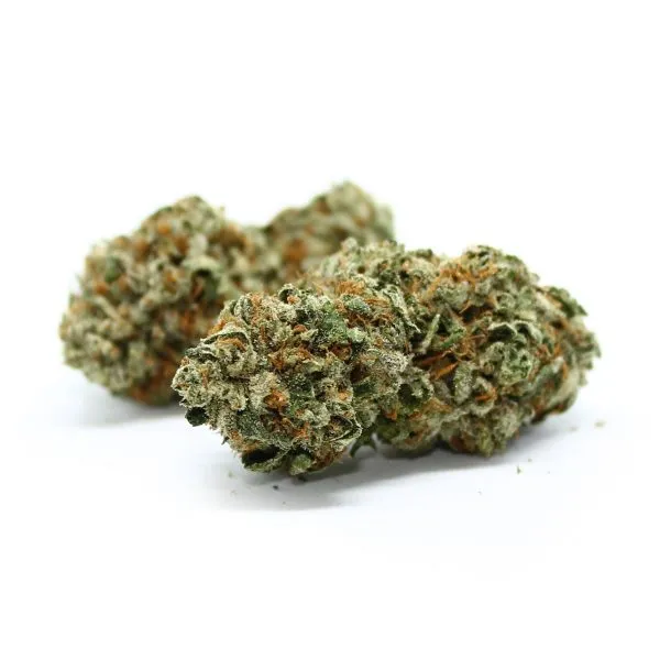 King Kong Glue
