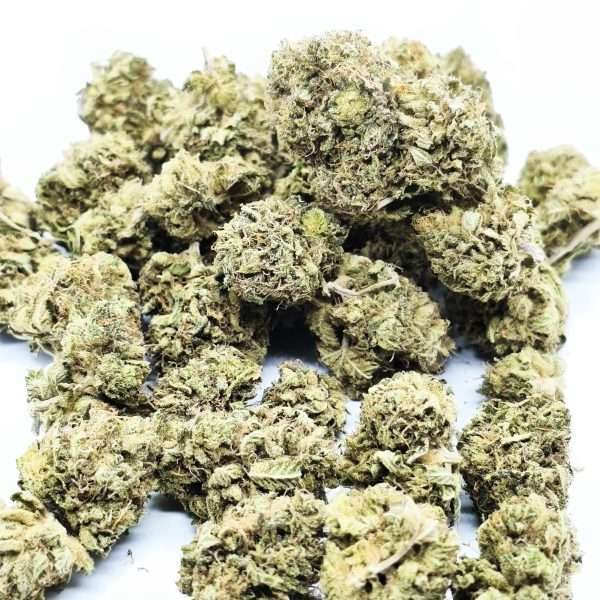 OG Shark cannabis buds