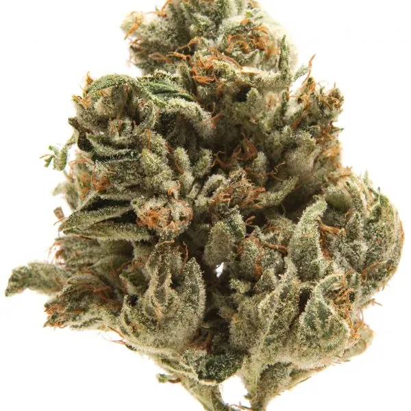 LA Confidential Flower Serene Farms Online Dispensary