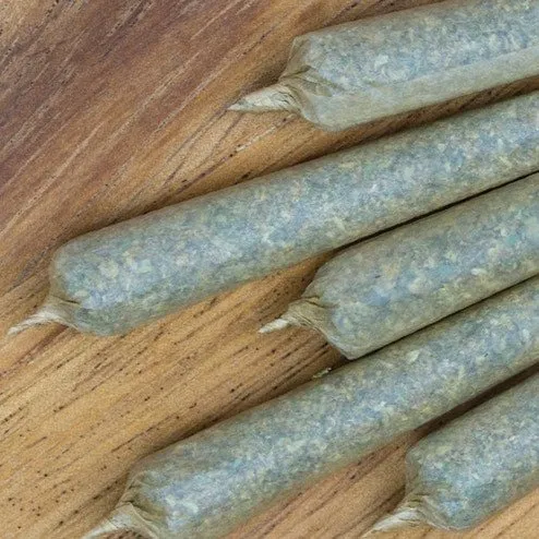 Red Lebanese Hashish Hash Joint Prerolls