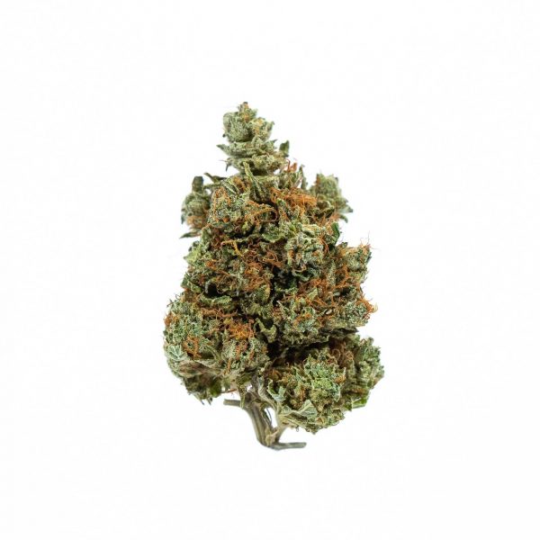 HINDU-KUSH